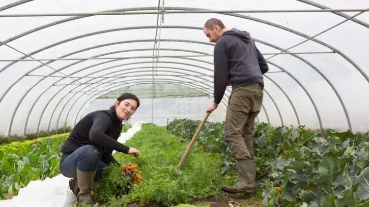 L'accès au foncier et au logement sont l'un des principaux freins à l'installation de nouveaux agriculteurs. À l'image de la Fermette du Bois Olive, Nantes Métropole déploie de nouveaux moyens pour préserver l'activité agricole et faciliter la transmissio