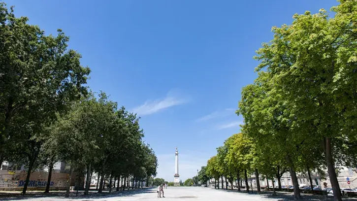 En 2024, la qualité de l'air dans la métropole nantaise a été « bonne » sur 5 jours, « moyenne » sur 214 jours, « dégradée » sur 24 jours et « mauvaise » sur 4 jours.