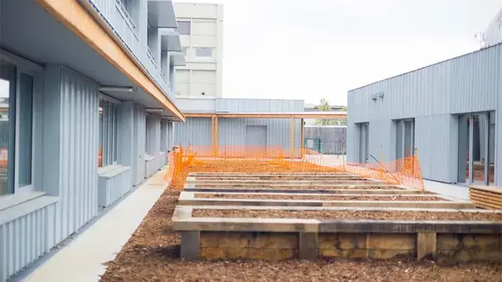 Depuis les salles de classe, les élèves pourront accéder à un patio végétalisé. Il accueille déjà des bacs de plantation. Une dizaine d'arbres fruitiers seront plantés prochainement.