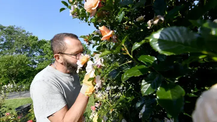 Avez-vous un bon odorat ? Saurez-vous distinguer les notes florales, des notes d'agrumes ou boisées ? © Marc Roger